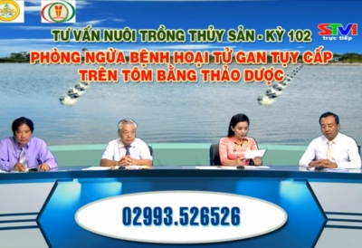 TỌA ĐÀM 