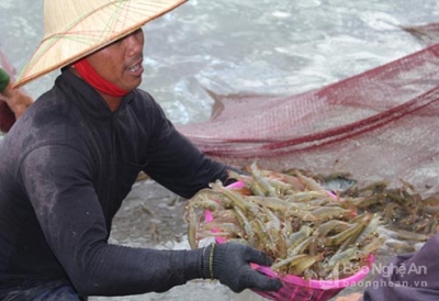 SONG LONG KHÁNH HÒA - SÁT CÁNH CÙNG BÀ CON NGHỆ AN