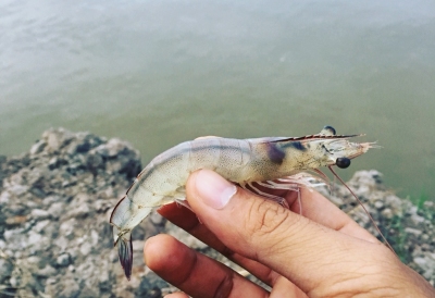 CÙNG CHO NHAU NIỀM VUI MỖI NGÀY