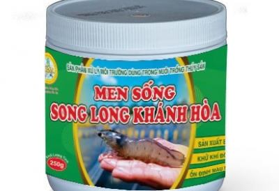 CÔNG TY SONG LONG KHÁNH HÒA RA MẮT SẢN PHẨM MEN SỐNG 