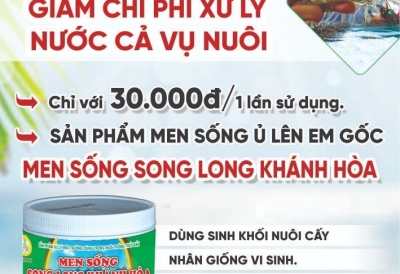 GIẢI PHÁP NÀO TIẾT GIẢM CHI PHÍ CHO NGƯỜI NUÔI TÔM HIỆN NAY???