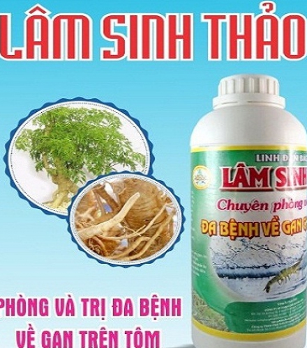 LÂM SINH THẢO -  CHUYÊN PHÒNG VÀ ĐIỀU TRỊ ĐA BỆNH VỀ GAN CHO TÔM