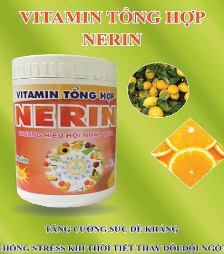 NERIN – VITAMIN TỔNG HỢP