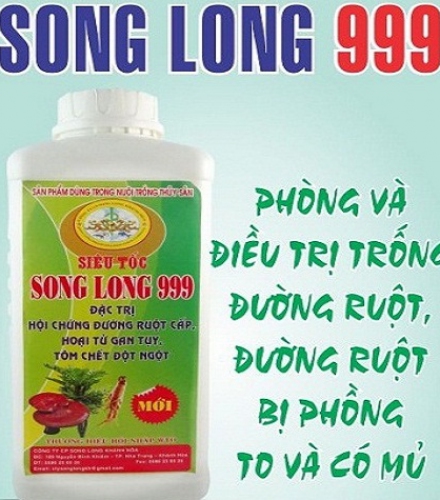 SIÊU TỐC SONG LONG 999 -  ĐIỀU TRỊ ĐƯỜNG RUỘT CẤP TÍNH