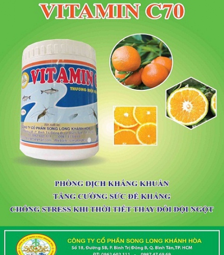 VITAMIN C 70  TĂNG SỨC ĐỀ KHÁNG, CHỐNG STRESS 