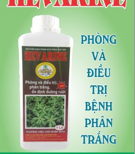 HEVARINE - PHÒNG BỆNH PHÂN TRẮNG TRÊN TÔM