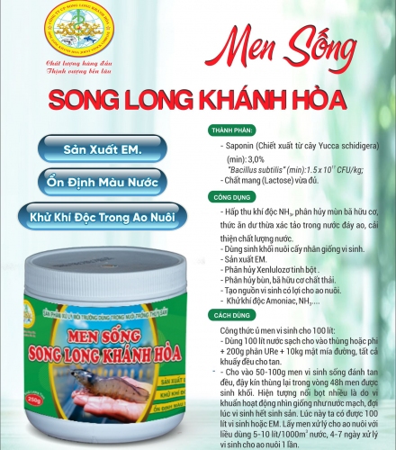 MEN SỐNG SONG LONG KHÁNH HÒA